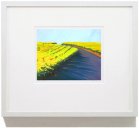 Fine Art Gicl�e Vineyard Print "Acres of Vines"