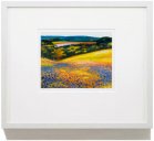 Fine Art Gicl�e Vineyard Print "Clover at Dusk"