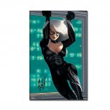 Adam Hughes Marvel Black Cat Signed Glicee - Unframed